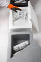 Notre zone d'activité pour ce service Fournir des arrêts de bétonnage en double bec pour renforcer les structures dans les constructions industrielles à